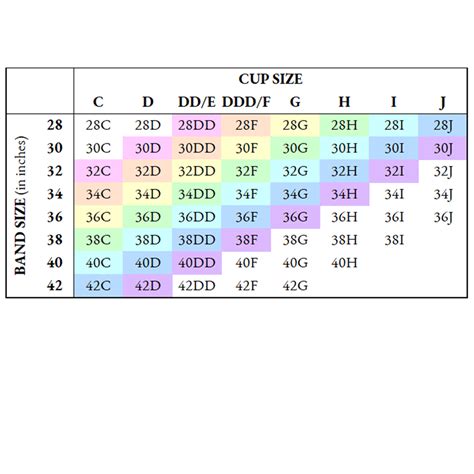 Comparing Cup Sizes: A vs. B vs. C vs. D Cup Size